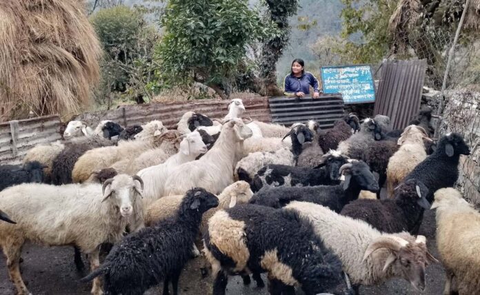 ग्रामोत्थान परियोजना चमोली में महिलाओं की आजीविका को कर रही मजबूत